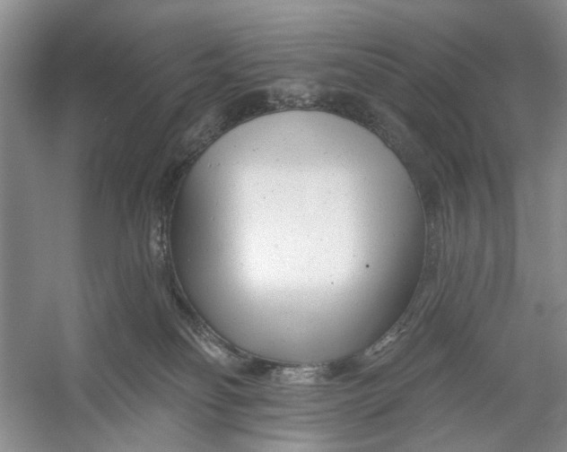 X0000054380134200508191922