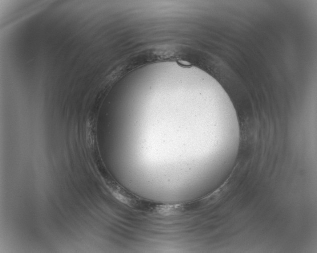 X0000054380136200508191922