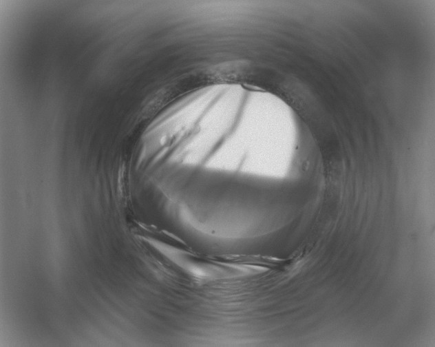 X0000054380139200508191922