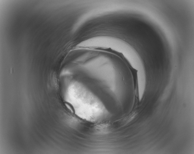 X0000054380143200508191922