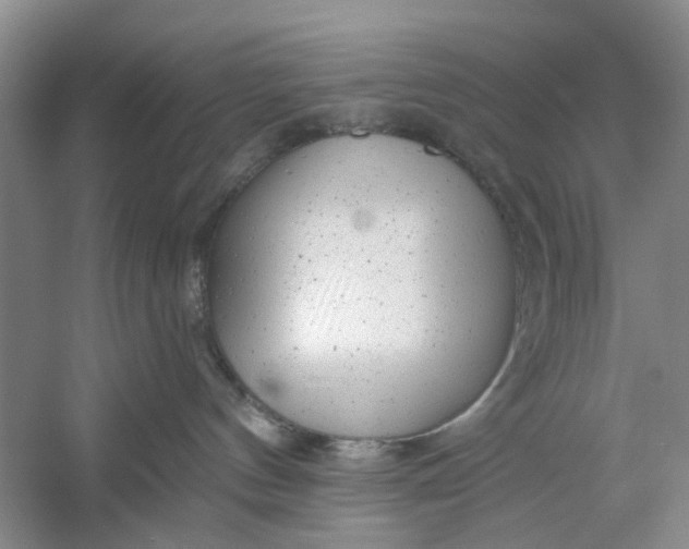 X0000054380144200508191922