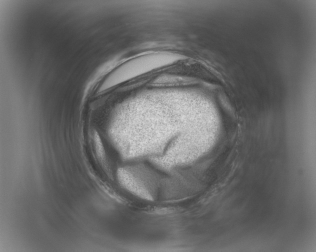 X0000054380149200508191921