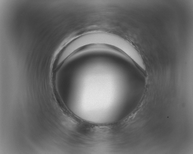 X0000054380150200508191922