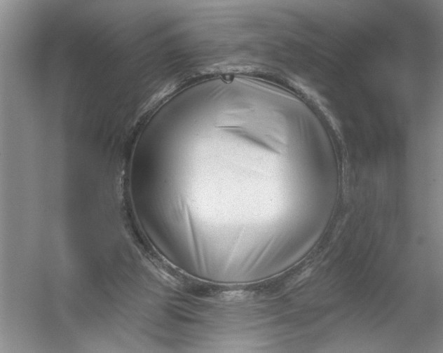 X0000054380153200508191922