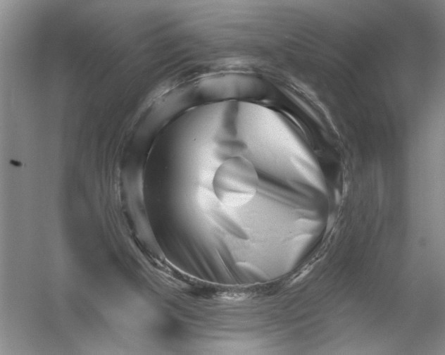 X0000054380154200508191922