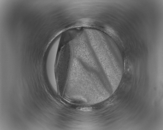 X0000054380156200508191922