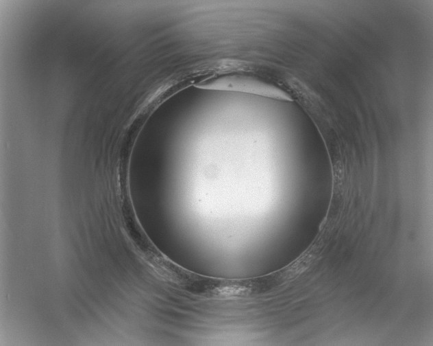 X0000054380158200508191922