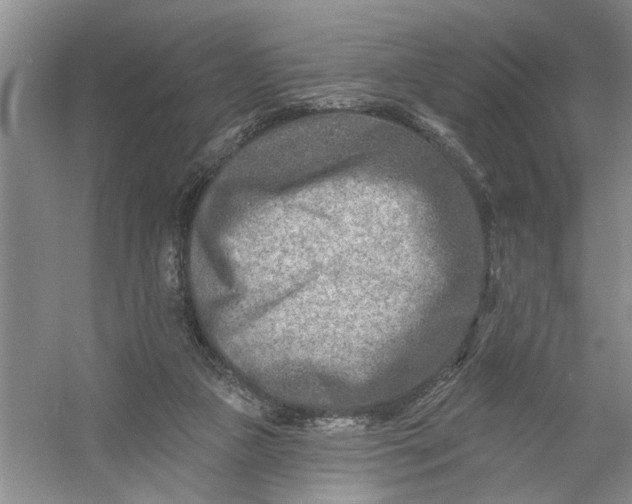 X0000054380161200508191922