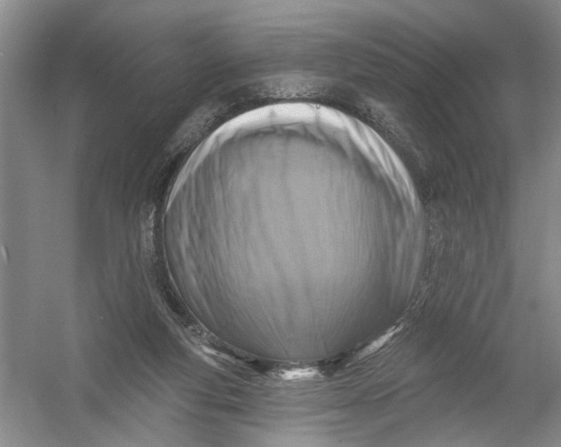 X0000054380163200508191922