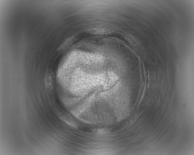 X0000054380165200508191922