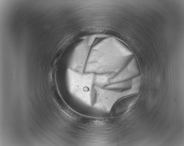 X0000054380166200508191922