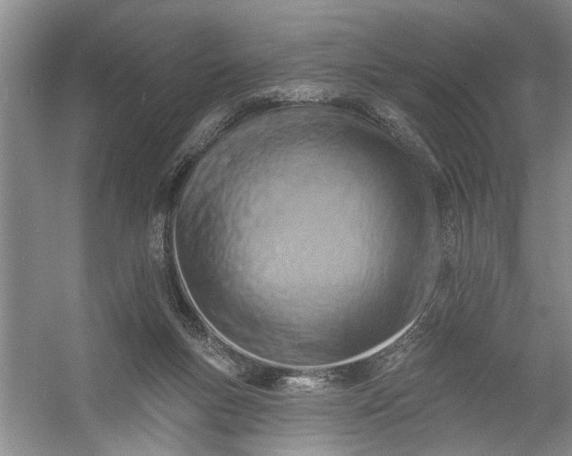 X0000054380167200508191922