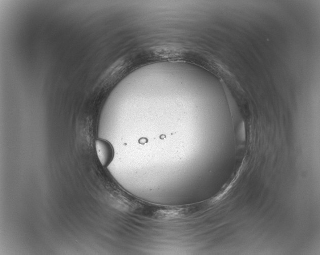 X0000054380170200508191922