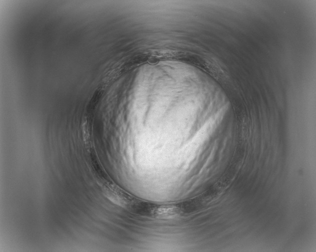 X0000054380173200508191922