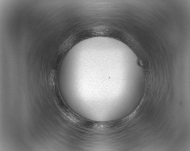 X0000054380174200508191922