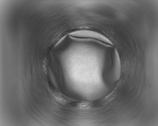 X0000054380175200508191922