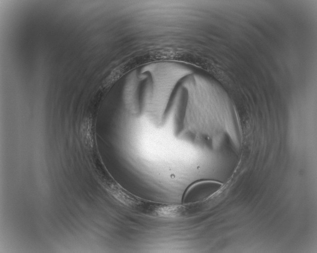 X0000054380178200508191922