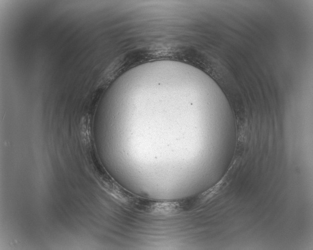 X0000054380179200508191922