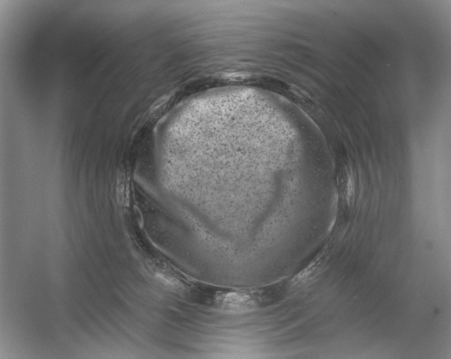 X0000054380180200508191922