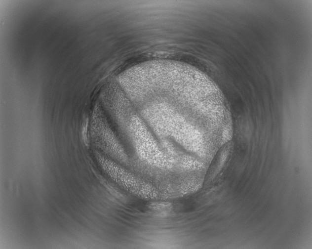 X0000054380181200508191922