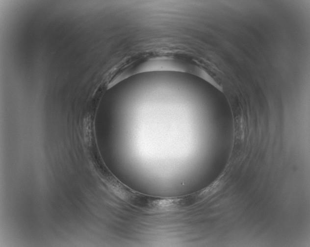 X0000054380184200508191922