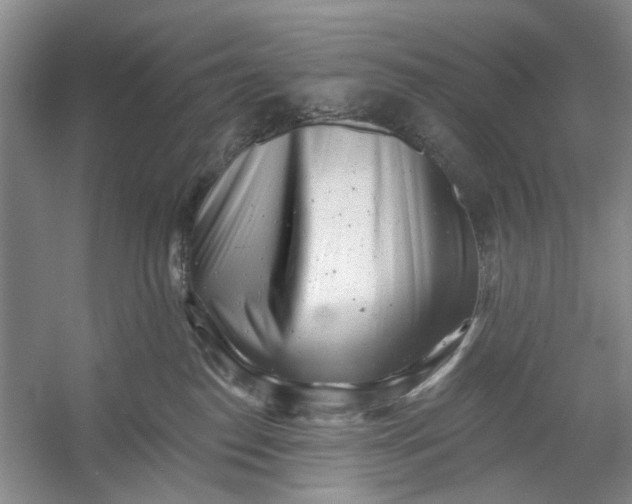 X0000054380186200508191922