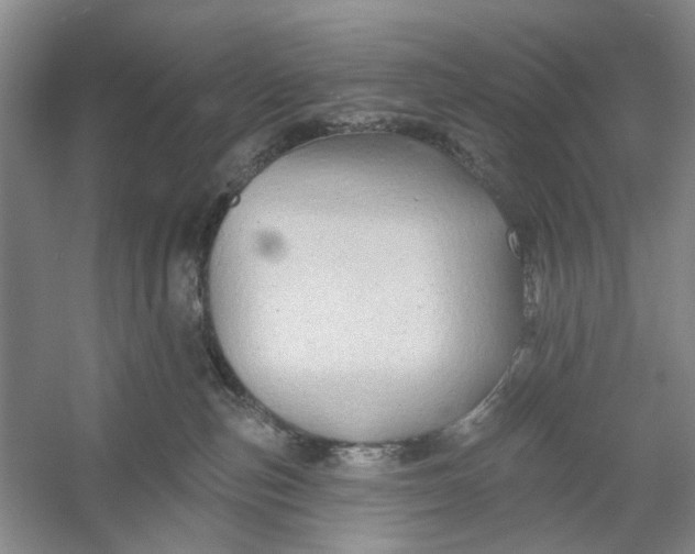 X0000054380187200508191922