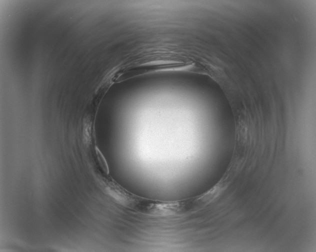 X0000054380188200508191922