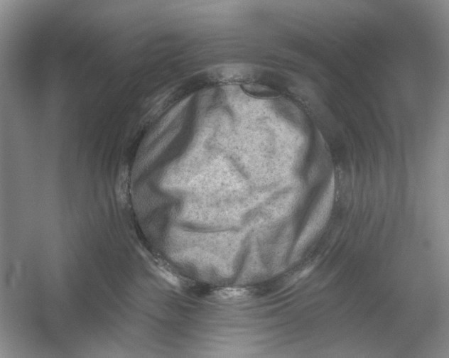 X0000054380189200508191922