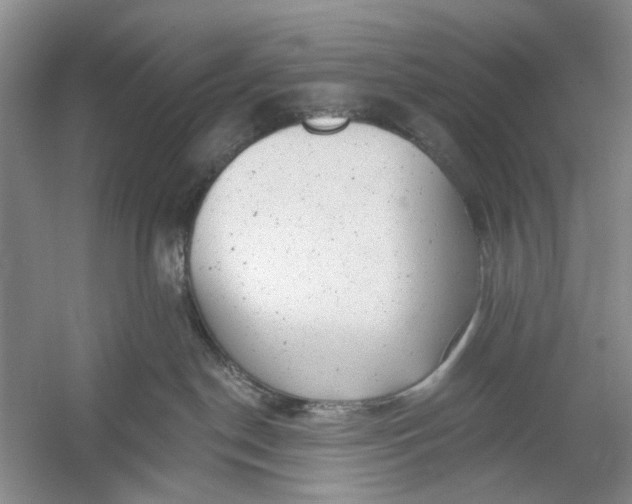 X0000054380190200508191922