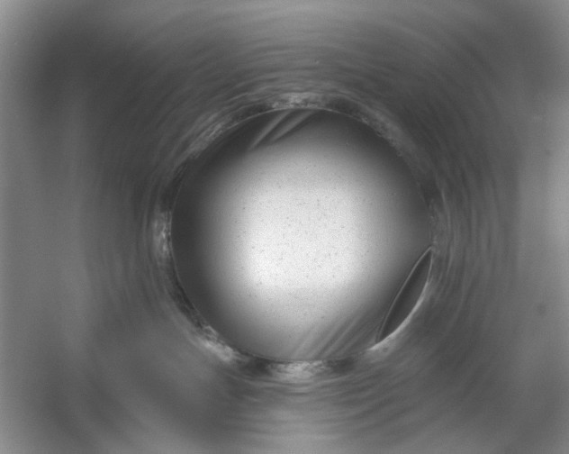 X0000054380191200508191922