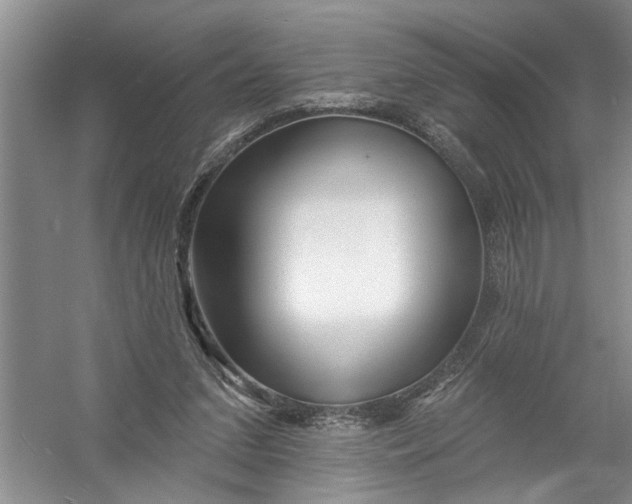 X0000054380207200508191921