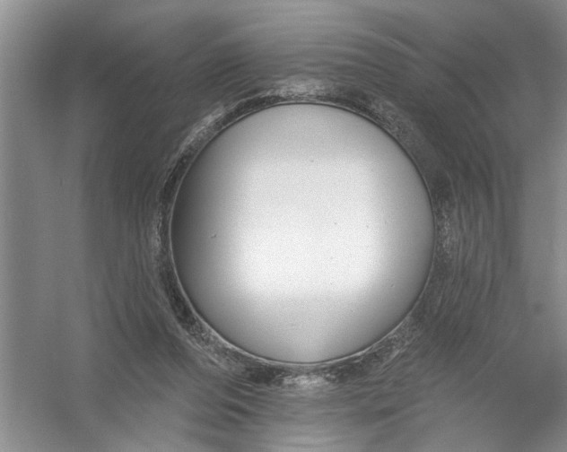 X0000054380208200508191921