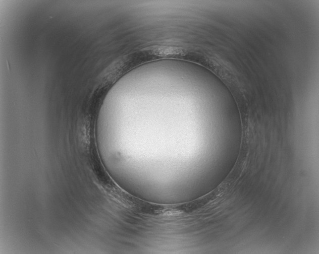 X0000054380210200508191921