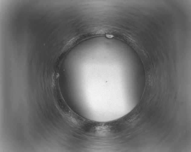 X0000054380216200508191921