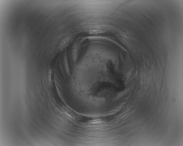 X0000054380219200508191921