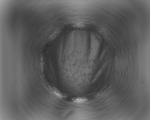 X0000054380223200508191921