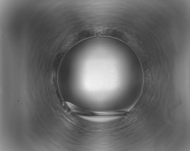 X0000054380225200508191921