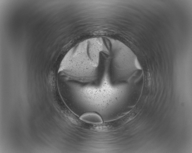 X0000054380228200508191921