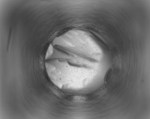 X0000054380234200508191921