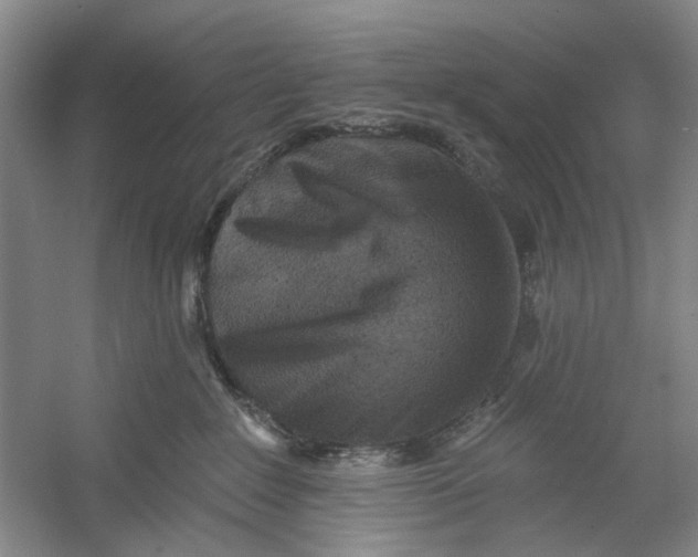 X0000054380235200508191921