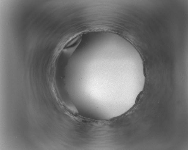 X0000054380241200508191920