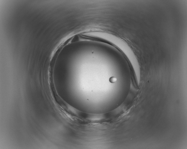 X0000054380244200508191920