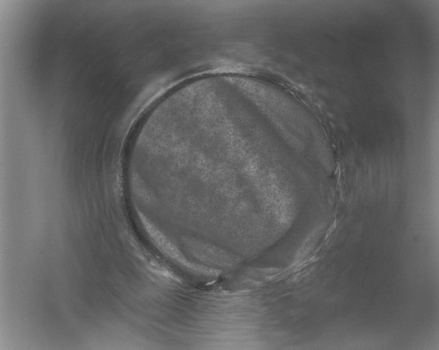 X0000054380247200508191920