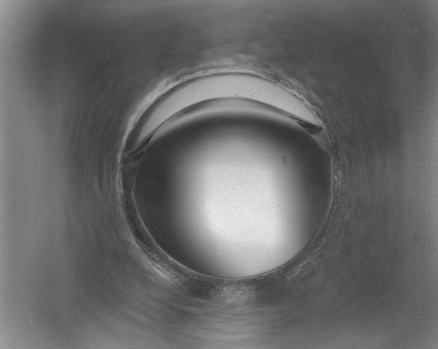 X0000054380248200508191920