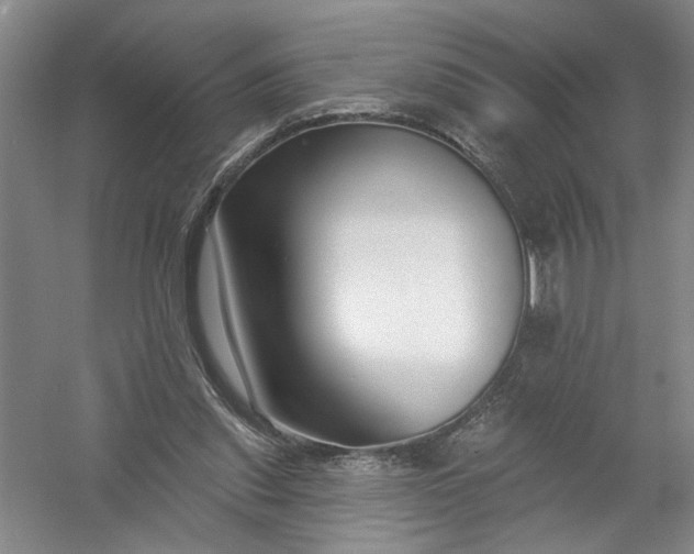 X0000054380253200508191920