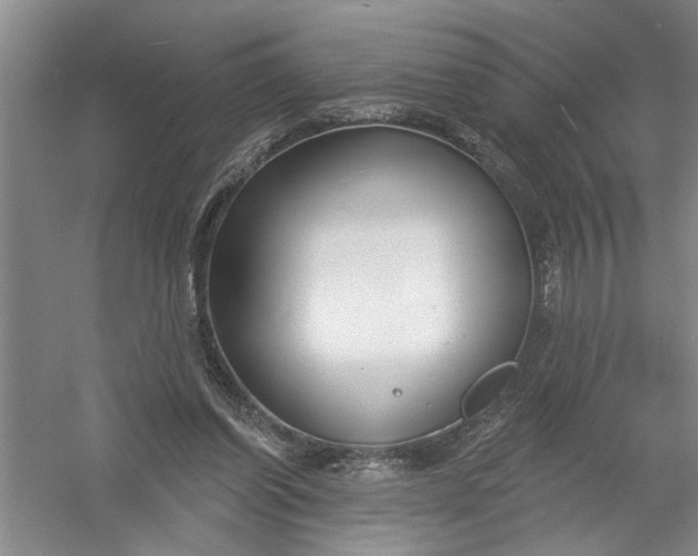 X0000054380254200508191920