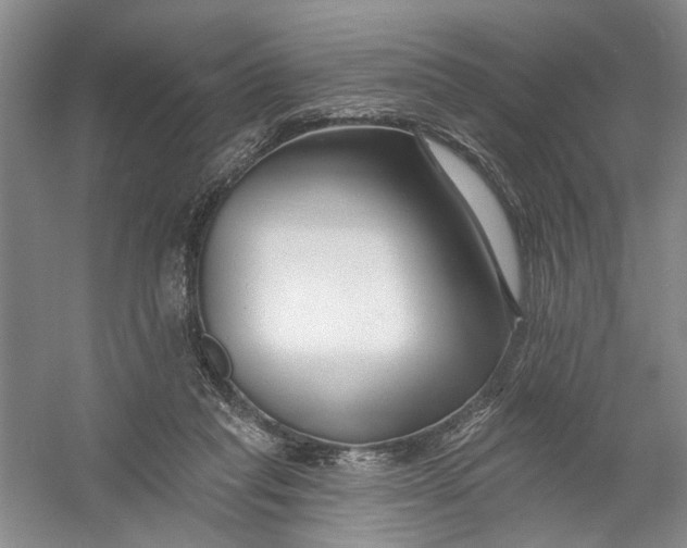 X0000054380261200508191920