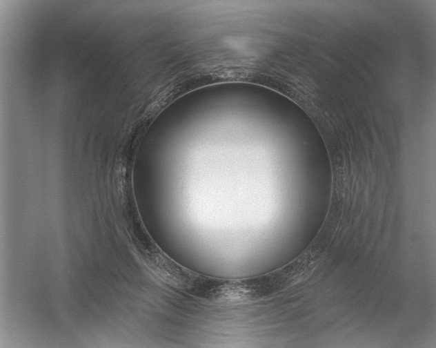 X0000054380263200508191920