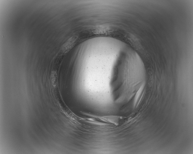 X0000054380273200508191920